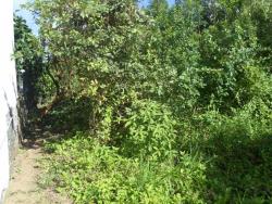 Terreno para Venda em Ubatuba - 1