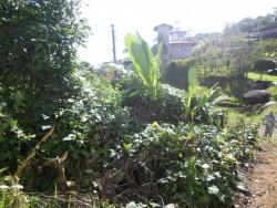 Terreno para Venda em Ubatuba - 3